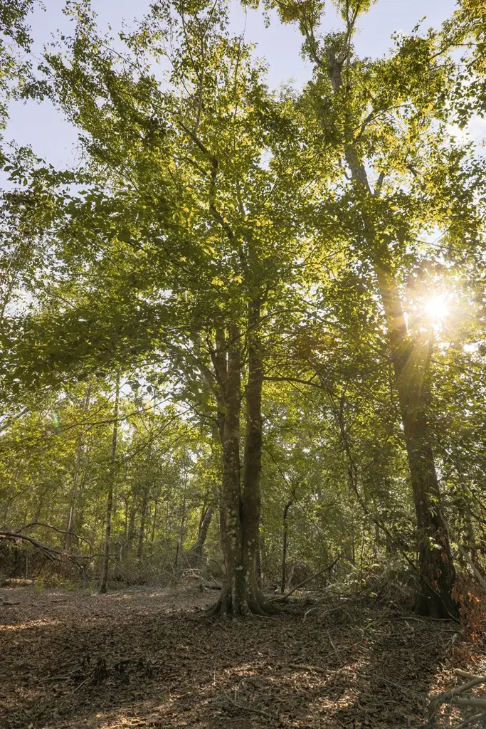 0 Lineberger Rd, Valdosta, GA 31602 - #3