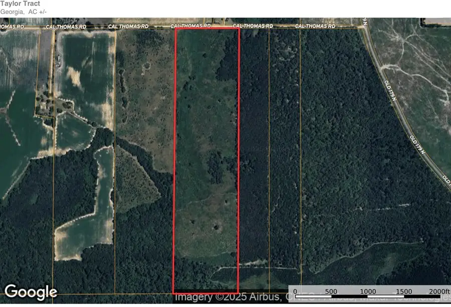 0 Cal Thomas Road, Whigham, GA 39897 - #2