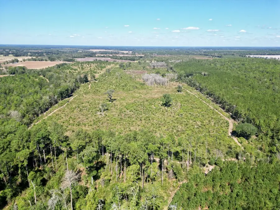 0 Cal Thomas Road, Whigham, GA 39897 - #3