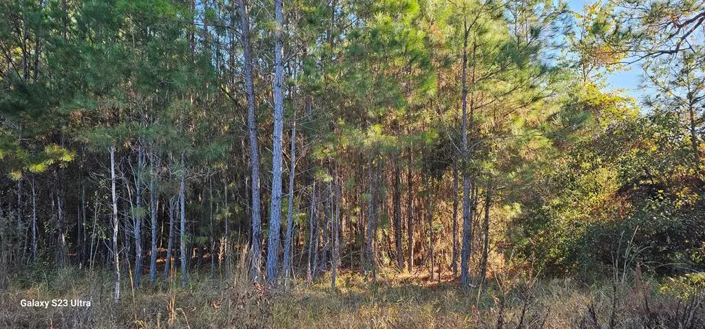 3869 Shelton Road, Lake Park, GA 31636 - #1