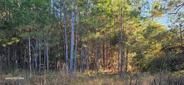 3869 Shelton Road, Lake Park, GA 31636