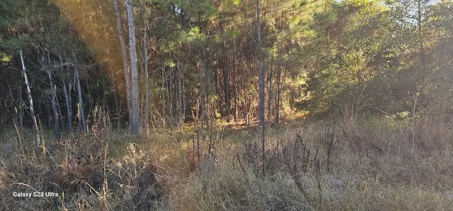 3869 Shelton Road, Lake Park, GA 31636 - #3