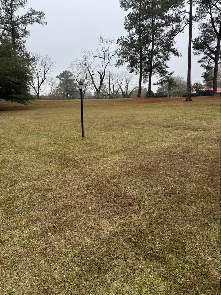 0 Mcquaig Street, Cairo, GA 39828 - #2