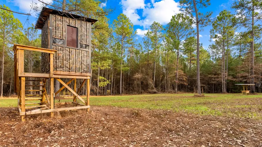 298 Highway 127 E, Rupert, GA 31081 - #3