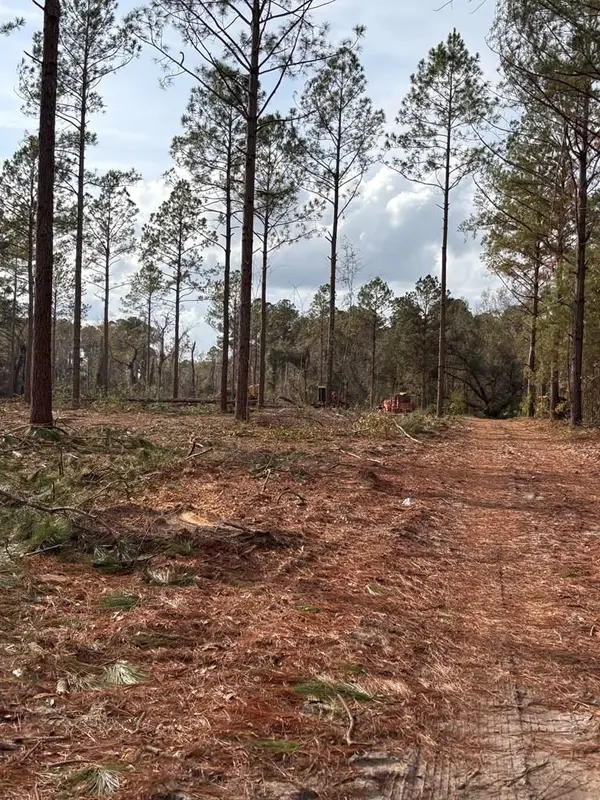 4958 Bethany Dr, Hahira, GA 31632