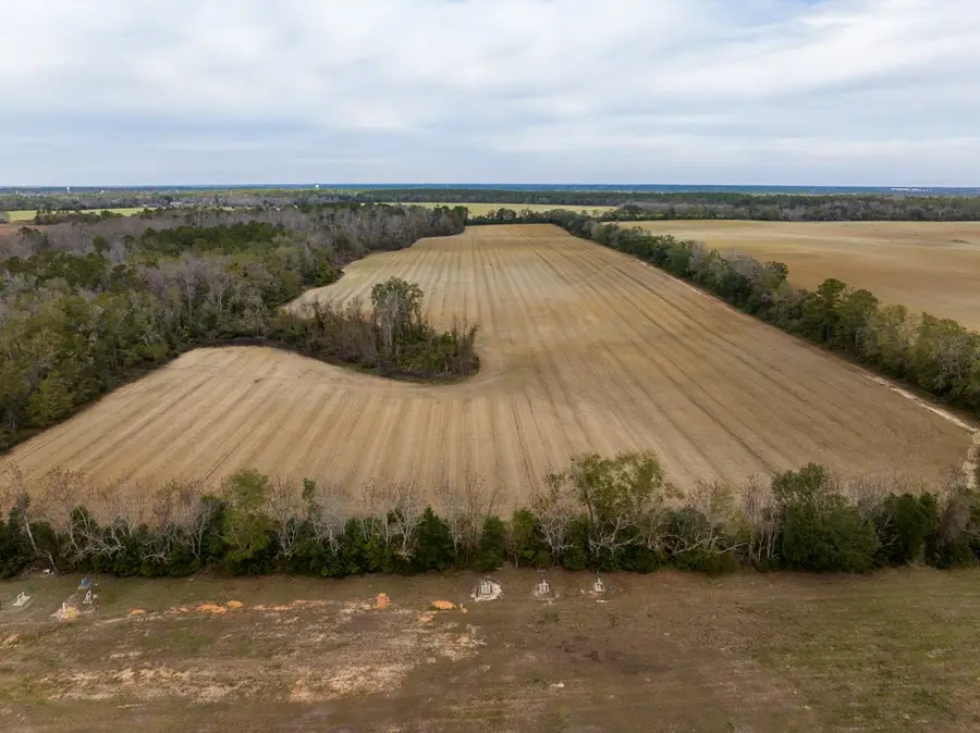 0 Madison Hwy, Quitman, GA 31643 - #3