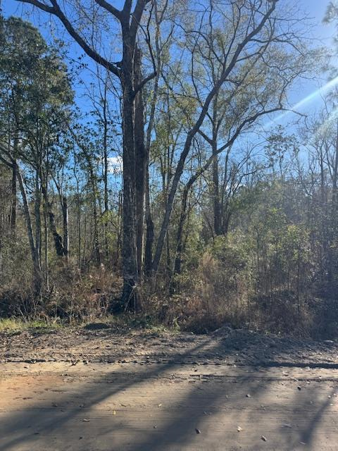 Lot 3 S Caulie Harris Rd., Adel, GA 31620