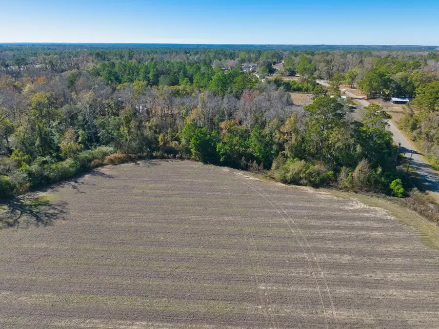 Tract 4 Salem Church Rd, Hahira, GA 31632 - #3