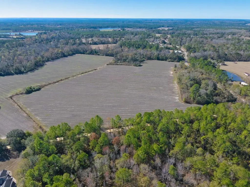 Tract 5 Salem Church Rd, Hahira, GA 31632 - #1