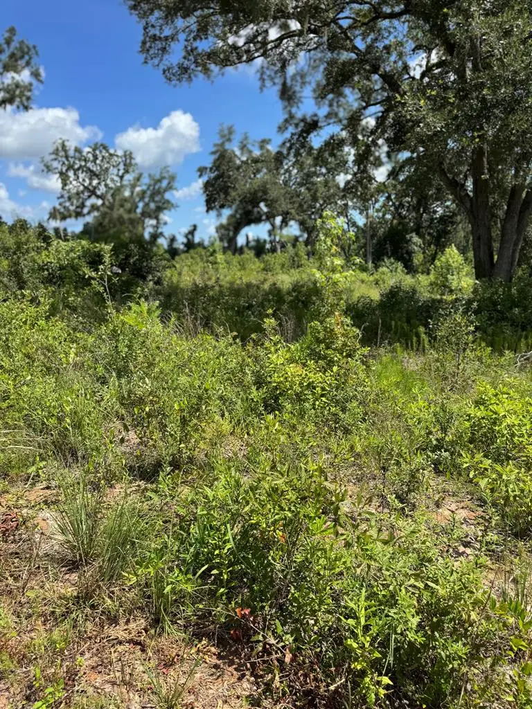 5125 Kinderlou Clyattville Road, Valdosta, GA 31601 - #1