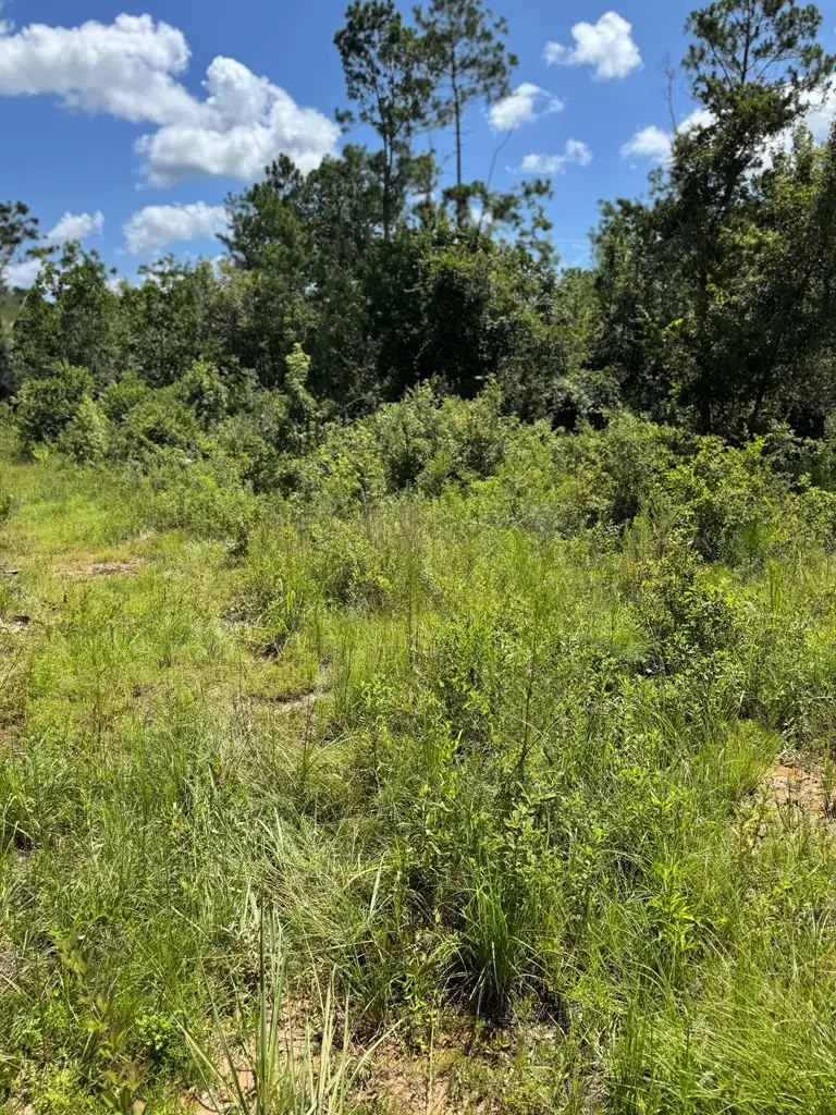 5125 Kinderlou Clyattville Road, Valdosta, GA 31601 - #3