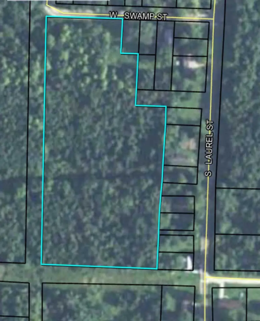 0 W Swamp St, Quitman, GA 31643 - #3