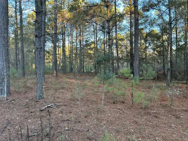 Lot 13 Dale Lane, Quitman, GA 31643