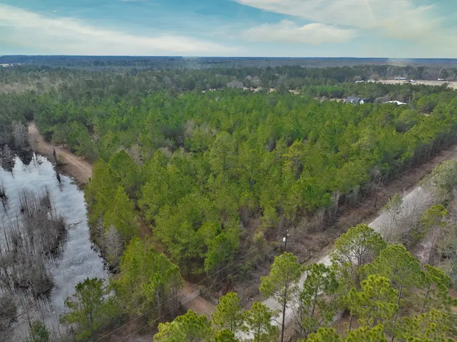 2940 Mud Swamp Road, Valdosta, GA 31601 - #3