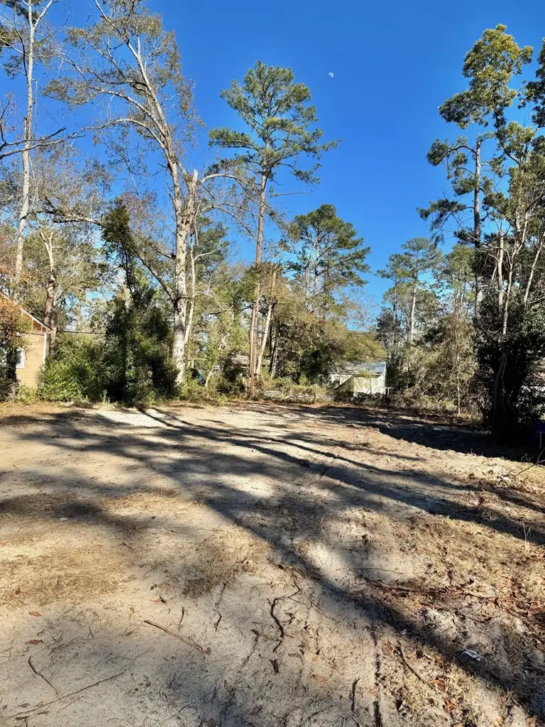 1303 Jo Ree Street, Valdosta, GA 31601 - #2