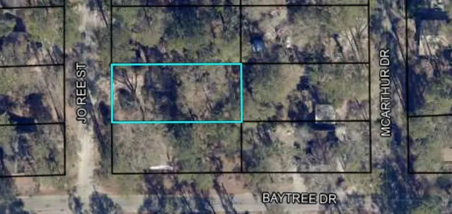 1303 Jo Ree Street, Valdosta, GA 31601 - #3