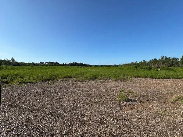 Tract 2 Hall Webb Road, Hahira, GA 31632