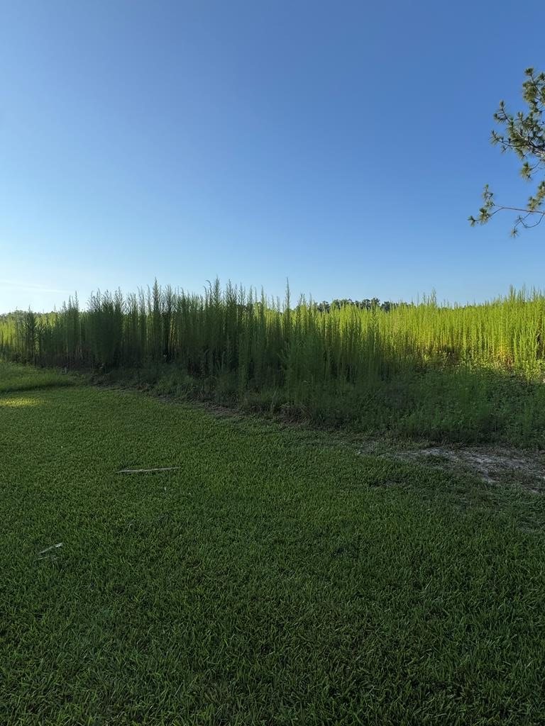 Tract 2 Hall Webb Road, Hahira, GA 31632 - #3