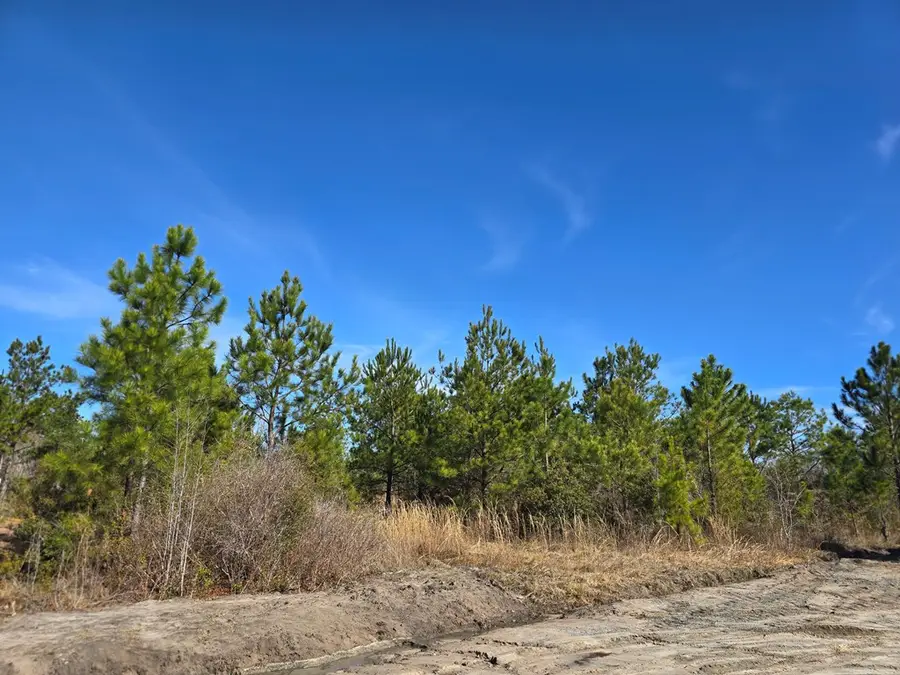 0 Fender Rd, Naylor, GA 31641 - #2