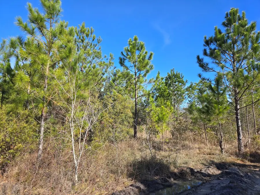 0 Fender Rd, Naylor, GA 31641 - #3