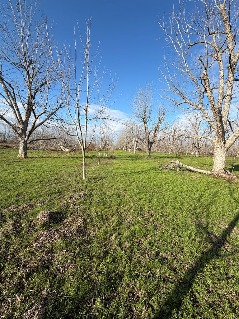 0 Carter Road, Naylor, GA 31641 - #3