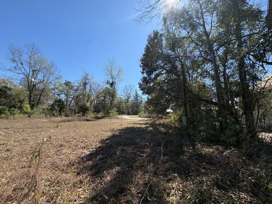 0 E Gordon St, Quitman, GA 31643 - #3