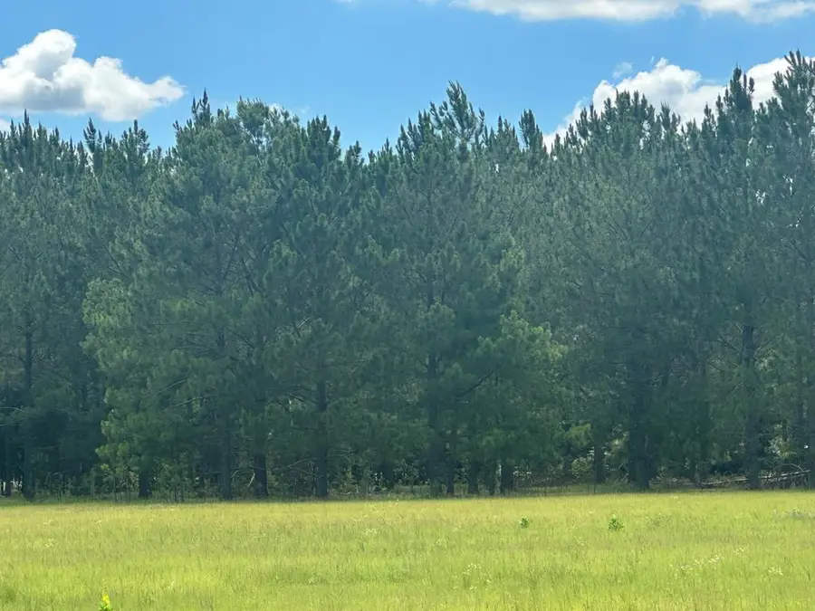 0 Quarterman Rd, Hahira, GA 31632 - #2