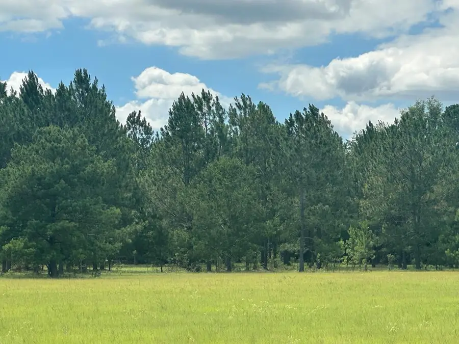 0 Quarterman Rd, Hahira, GA 31632 - #3