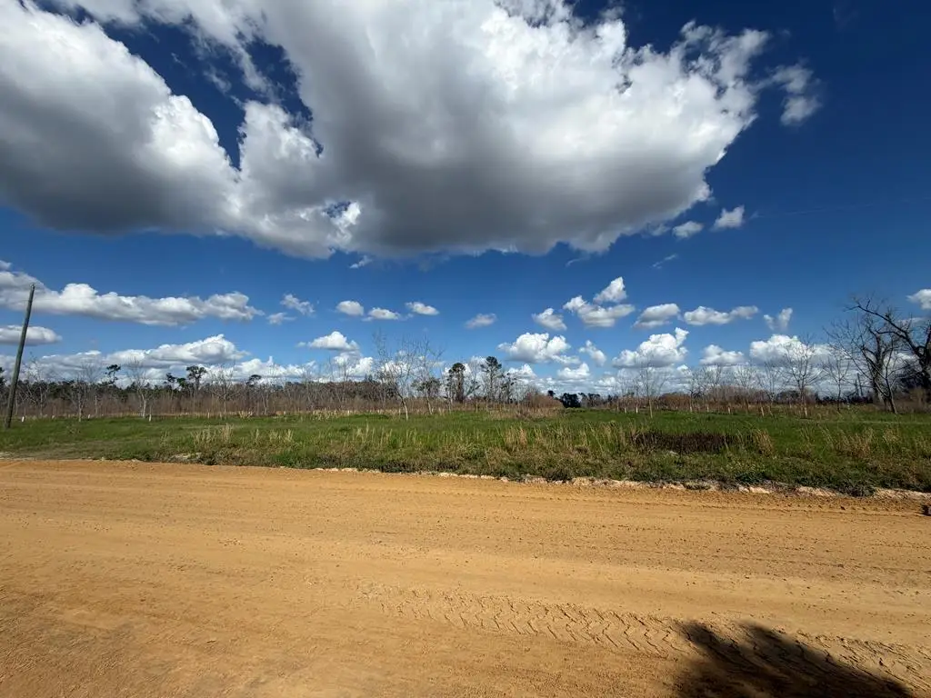 0 County Road 19, Naylor, GA 31641 - #1