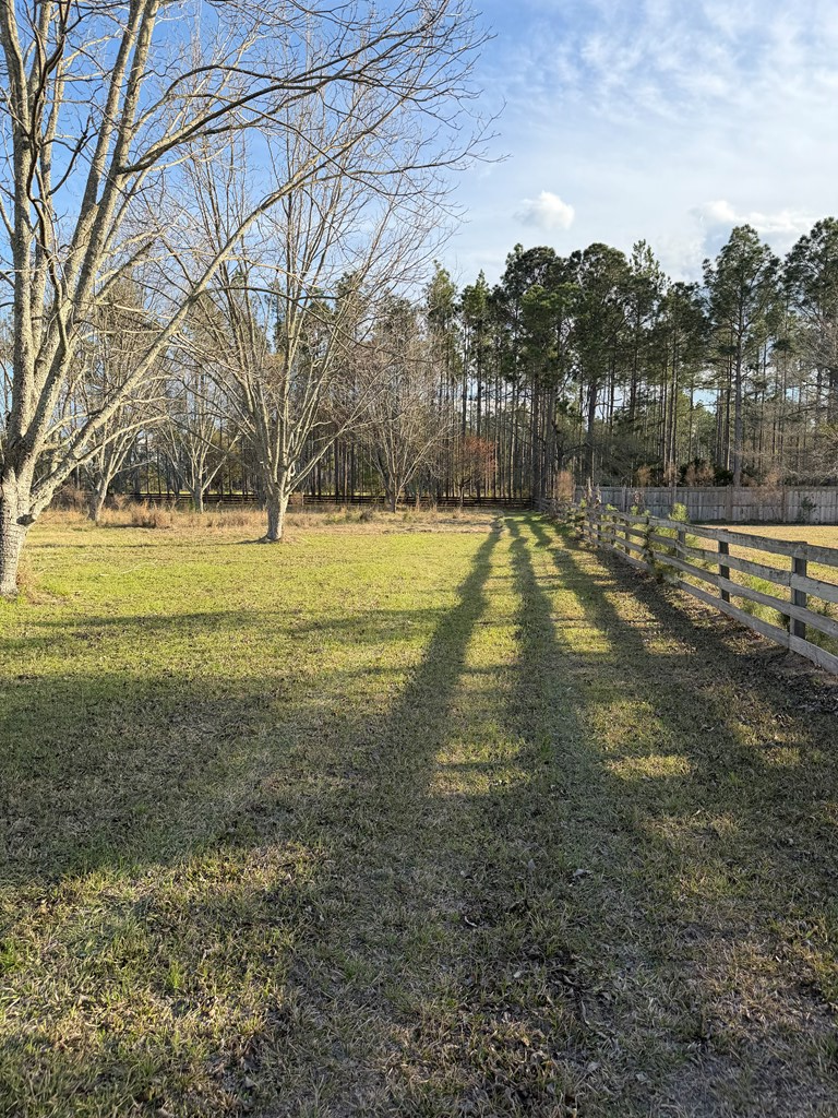 Lot #42 Lakeview Circle, Nashville, GA 31639 - #3