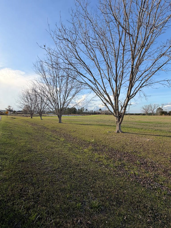 Lot #32 Old Valdosta Rd, Nashville, GA 31639