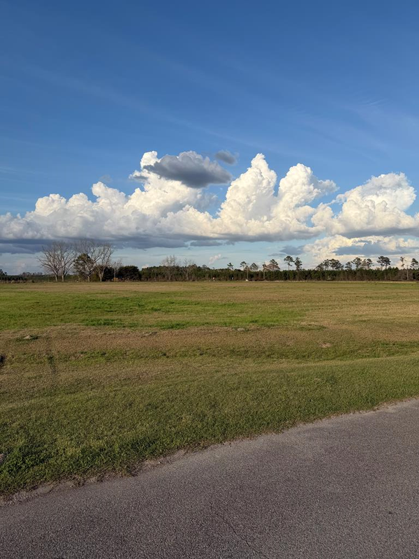 Lot #28 Nash Rd, Nashville, GA 31639