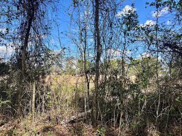 0 Jennifer Royal, Lakeland, GA 31635