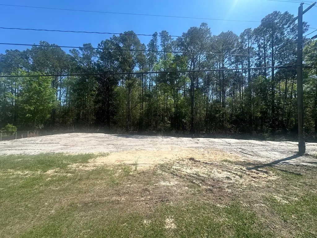 505 Pauline Street, Ray City, GA 31645 - #1