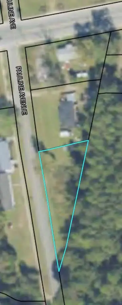 505 Pauline Street, Ray City, GA 31645 - #2