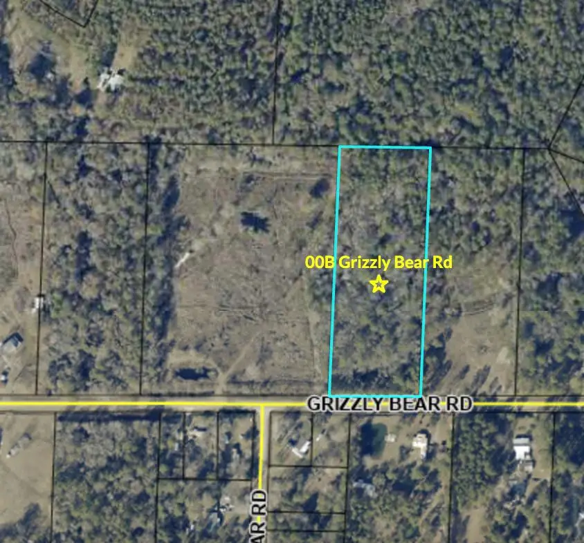 00B Grizzly Bear Rd, Norman Park, GA 31771 - #1