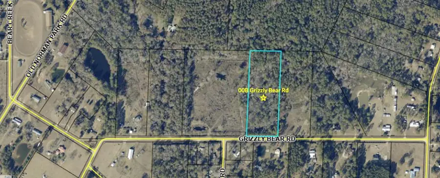 00B Grizzly Bear Rd, Norman Park, GA 31771 - #3