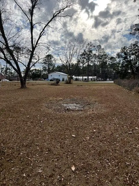 0 Highway 441, Homerville, GA 31634 - #1