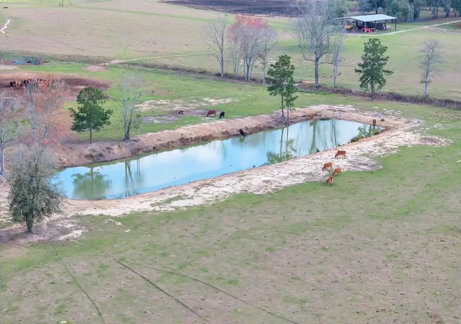 4497 Howard Rd, Pavo, GA 31778 - #3