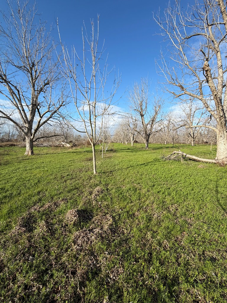 0 Ganas Road, Naylor, GA 31641 - #2