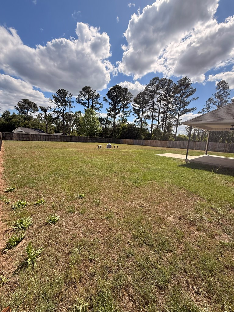 25 Smith Dairy Rd, Lakeland, GA 31635 - #3