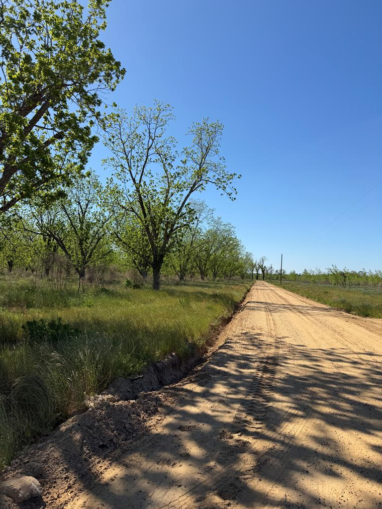 Tract 10 Ganas Road, Naylor, GA 31641 - #1