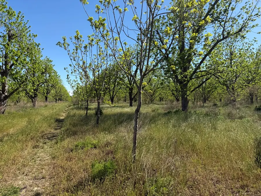 Tract 10 Ganas Road, Naylor, GA 31641 - #3