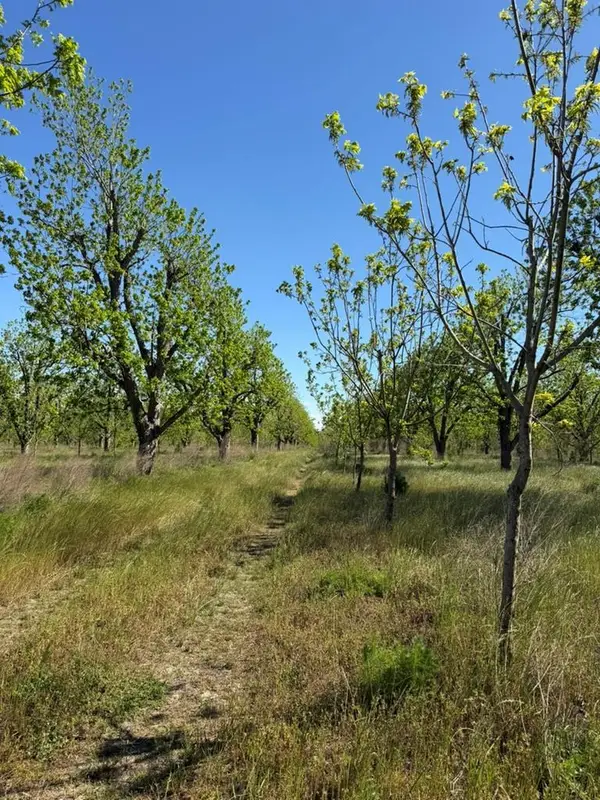 Tract 3A Ganas Road, Naylor, GA 31641