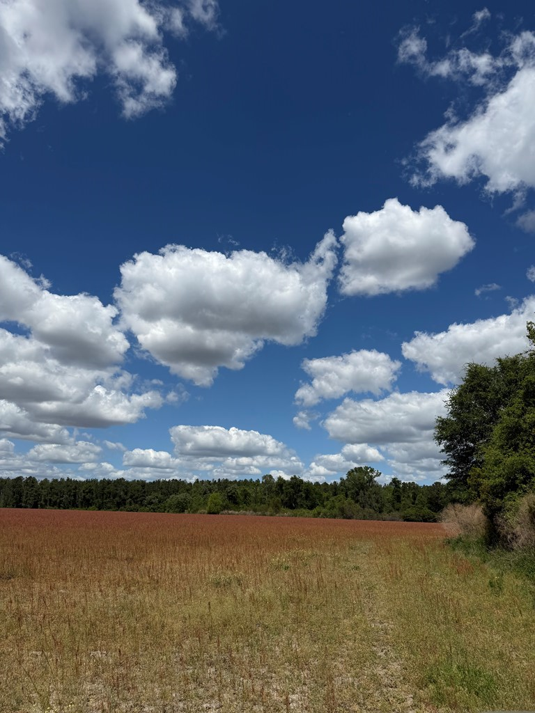 0 Hwy 129, Alapaha, GA 31622 - #2