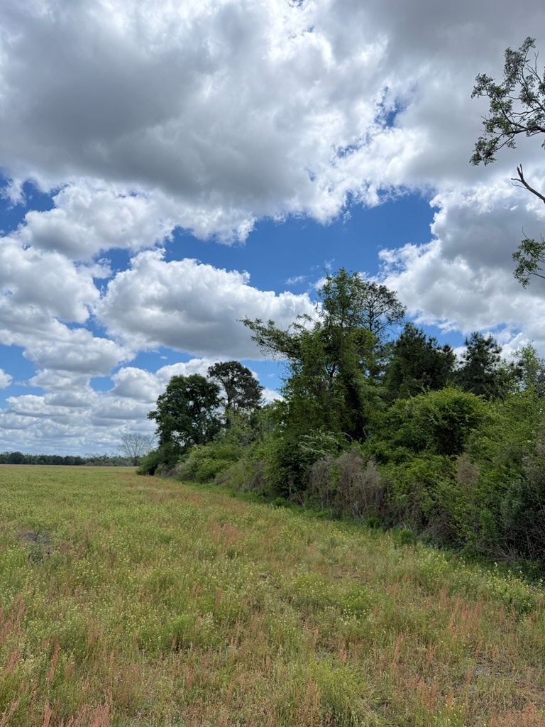 0 Hwy 129, Alapaha, GA 31622 - #3