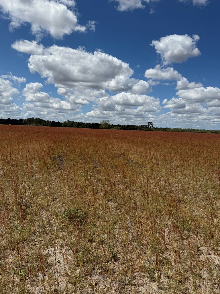 0 Hwy 129, Alapaha, GA 31622 - #2