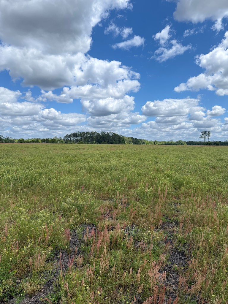 0 Hwy 129, Alapaha, GA 31622 - #3