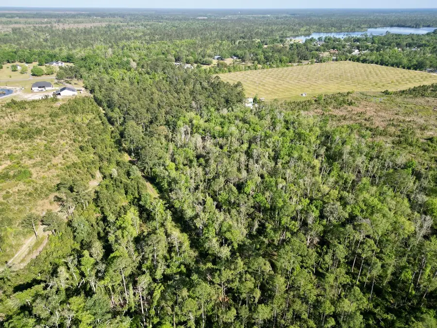 6350 Lake Alapaha Blvd, Naylor, GA 31642 - #3