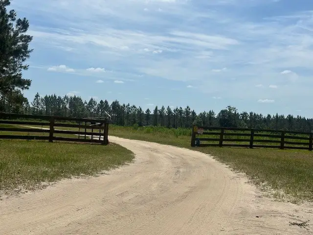 35 Tyler Rd, Naylor, GA 31641 - #3